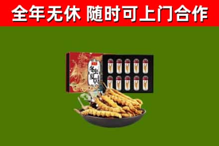 韶山市回收冬虫夏草价格